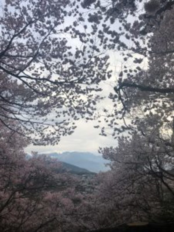 最近の出来事♪