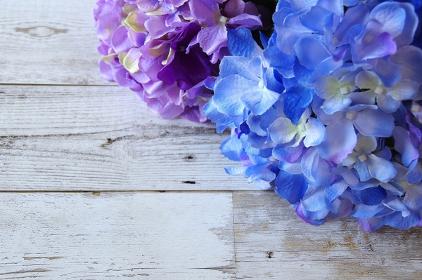 ジメジメした梅雨に負けない！湿気対策のポイント