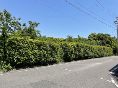 知多市鎌が谷のサムネイル