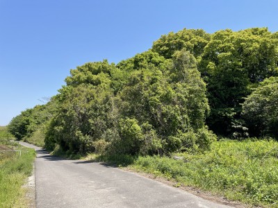 知多市鎌が谷のサムネイル