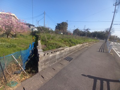 加木屋町平子のサムネイル