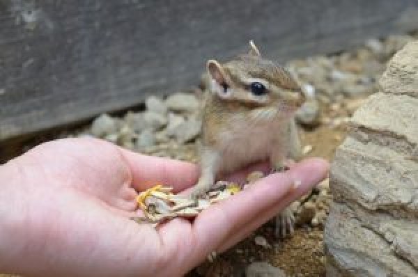 ゴールデンウィーク