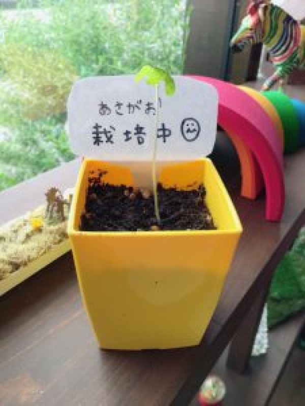 これからの季節に必要な知識