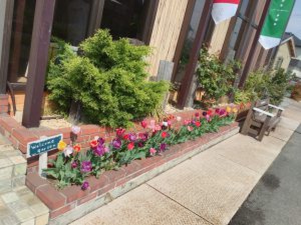 チューリップが