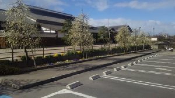 季節の変わり目