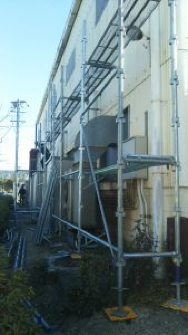 今年も頑張ります