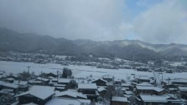 暖冬なんでしょうか？