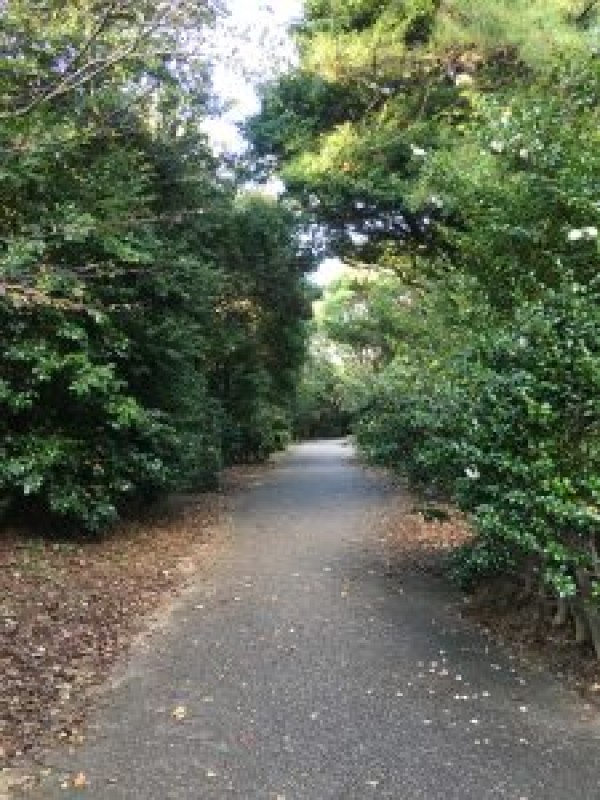 東海市を歩く。