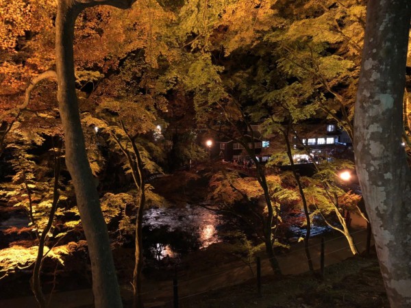 いよいよ・・・