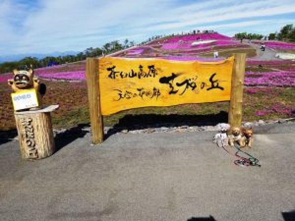 天空の花回廊・魔法のほうき