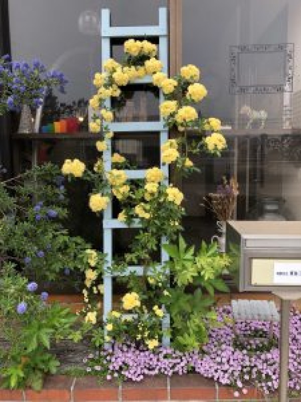 ゴールデンウィーク休業のお知らせ