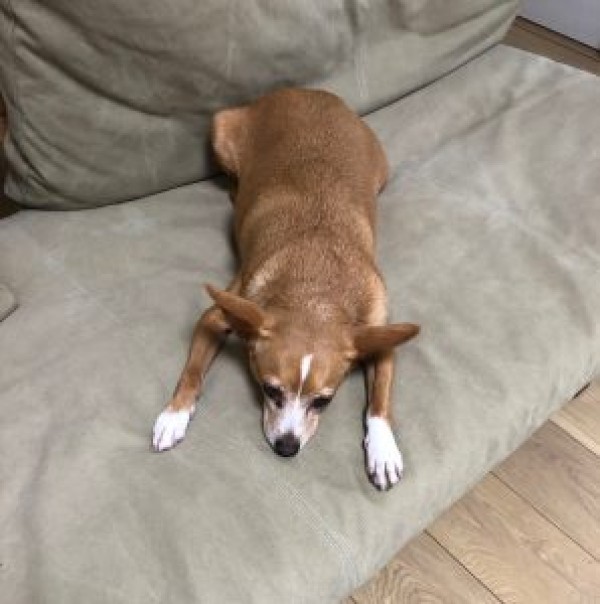 家で過ごす休日