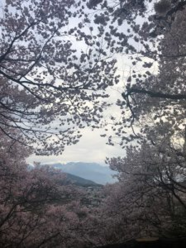 最近の出来事♪