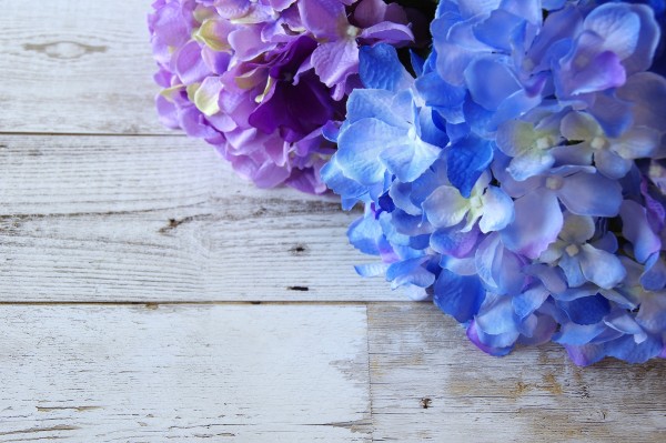 ジメジメした梅雨に負けない！湿気対策のポイント