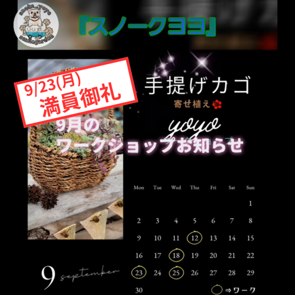 🏠モデルハウスコラボ企画！「多肉植物寄せ植え」満員御礼🏠