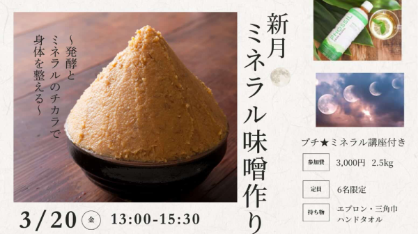 🏠モデルハウスコラボ「ミネラルたっぷりお味噌づくり🏠